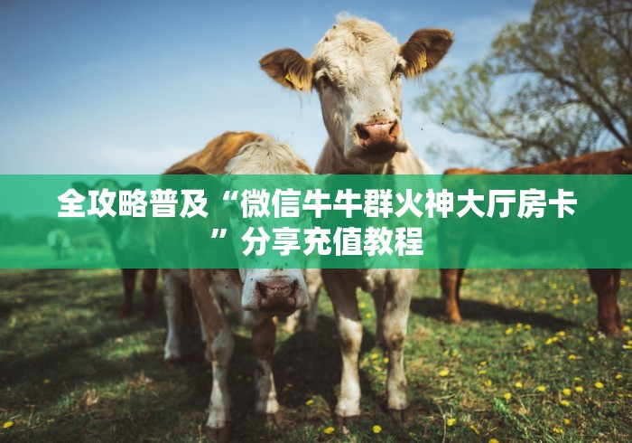 3秒了解分享“微信群新天地金花房卡”房卡获取方式-哔哩哔哩