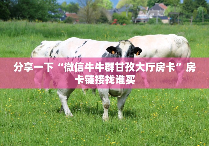 分享一下“微信牛牛群甘孜大厅房卡”房卡链接找谁买 分享一下“微信牛牛群甘孜大厅房卡”房卡链接找谁买